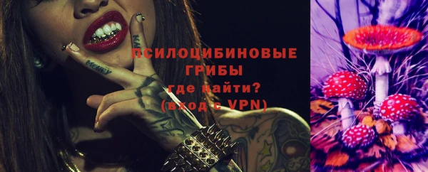 герыч Бородино