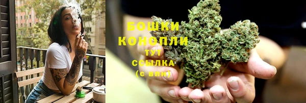 спиды Бронницы
