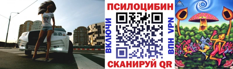цены   Могоча  Псилоцибиновые грибы Magic Shrooms 